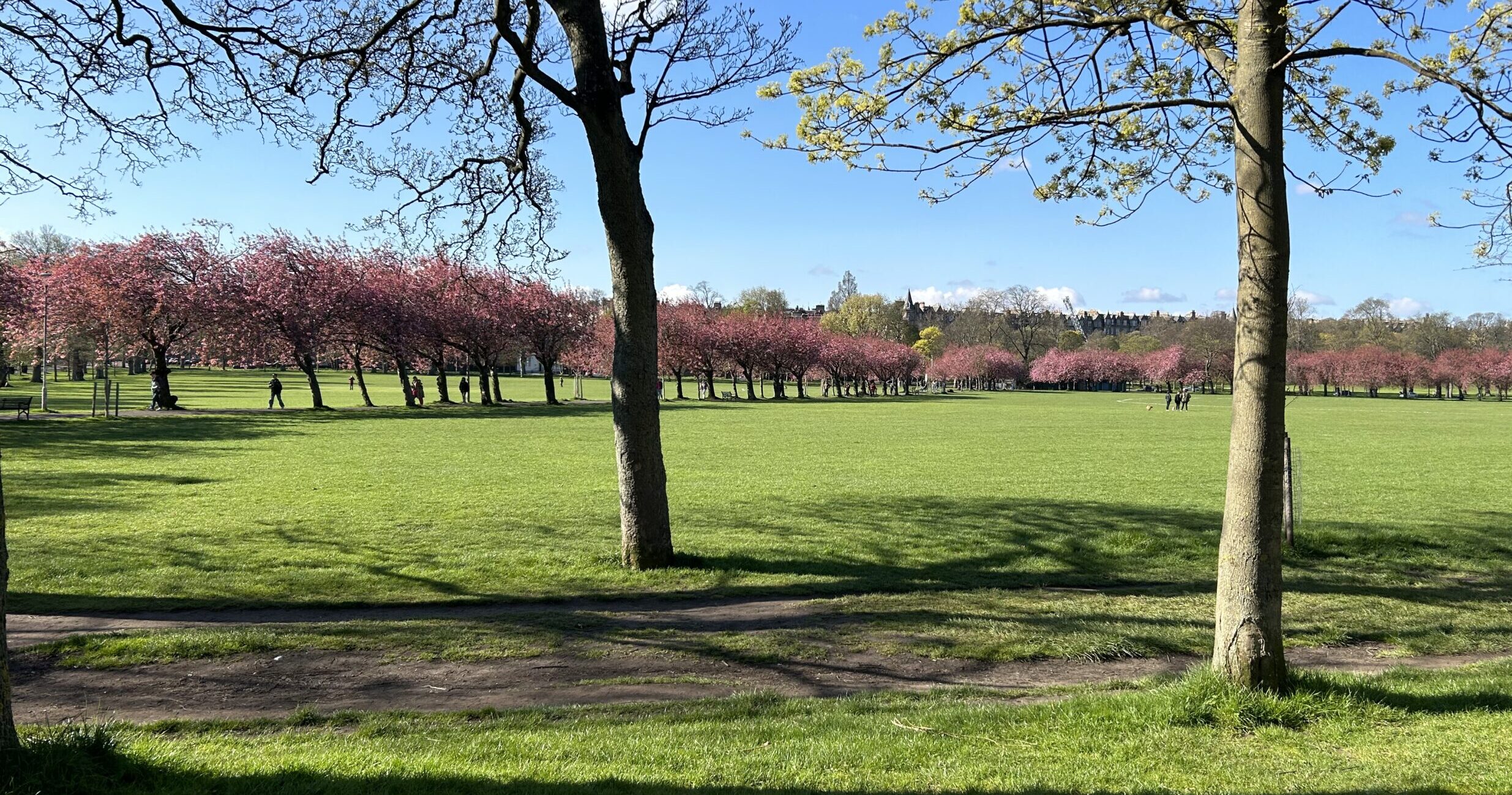 Students spending time together on the Meadows in spring